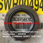 TEREX NHL TR60 RIGID DUMP TRUCK 3065830 OIL SEAL TR60