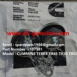 TEREX NHL TR50 TR60 CUMMINS EINGINE RIGID DUMP TRUCK 107981 FILLER CAP