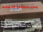 TEREX NHL GE CUMMINS ENGINE OFF HIGHWAY RIGID DUMP TRUCK MINING HAULER  TR45 TR50 TR60 TR70 TR100 INJECTOR PP2825-02