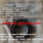 TEREX NHL OFF HIGHWAY RIGID DUMP TRUCK MINING HAULER TR45 TR50 TR60 CUMMINS ENGINE 3065830 OIL SEAL