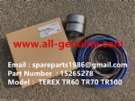 TEREX NHL GE CUMMINS ENGINE OFF HIGHWAY RIGID DUMP TRUCK MINING HAULER GE TR60 TR70 TR100 TR45 ALLISON TRANSMISSION 15265278 REPAIR KIT