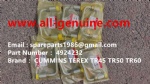 TEREX HAULER MINING RIGID DUMP TRUCK CUMMINS ENGINE TR45 TR50 TR60 4924232 INJECTOR TUBE