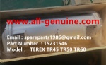 特雷克斯 非公路自卸车 矿用自卸车  TR50 TR60 热交换器 15231546