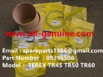 TEREX SANY TR50 TR60 SRT45 SRT55 DUMP TRUCK 09396508 OVERHAUL KIT