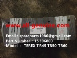 TEREX TR50 MINING DUMP TRUCK 15306800 LINING