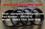 TEREX NHL DUMPER TR50 RING RETAINER  09018310